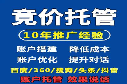SEM代理案例：揭秘成功背后的秘密